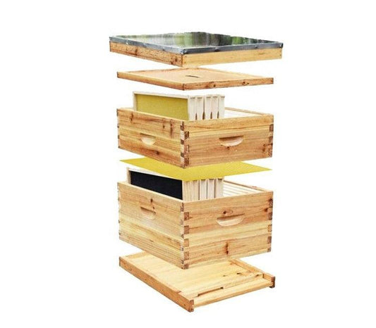 Wax Coated Langstroth Complete Beehive Kit - Pioneer_essentials